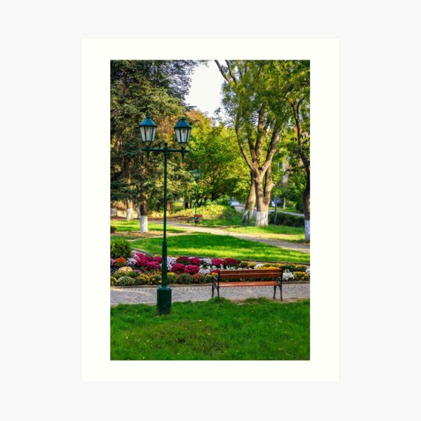 City lights in the park Art Print