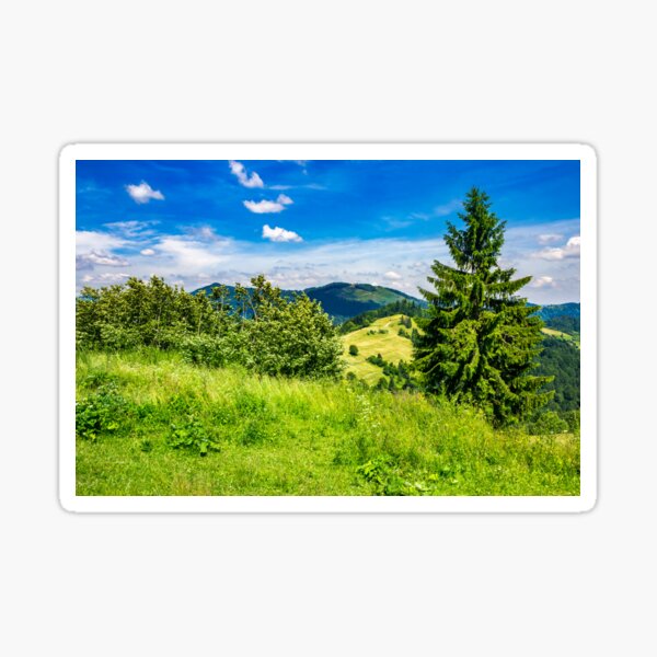 evergreen tree on a mountain slope Sticker