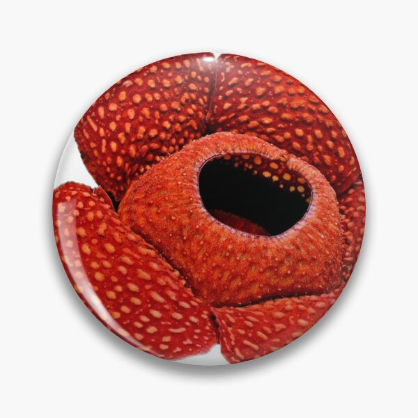 Item preview, Red Rafflesia Arnoldii flower designed and sold by David-Howells.
