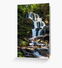 big waterfall in green forest Greeting Card