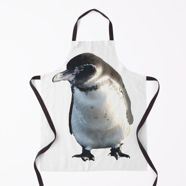 Artikelvorschau, Cute Galapagos Penguin checks you out entworfen und verkauft von SBPenguins.