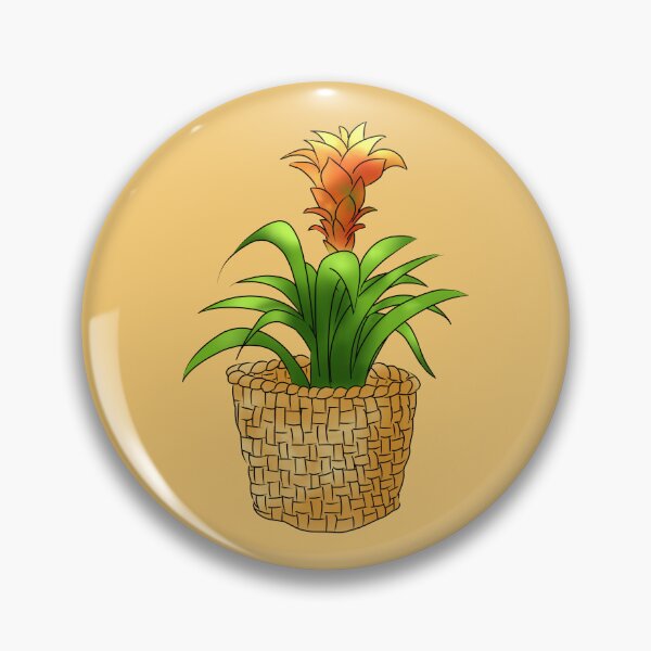 Item preview, Bromeliad designed and sold by Sarah Y..