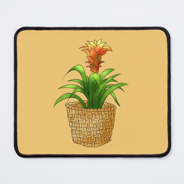 Item preview, Bromeliad designed and sold by Sarah Y..