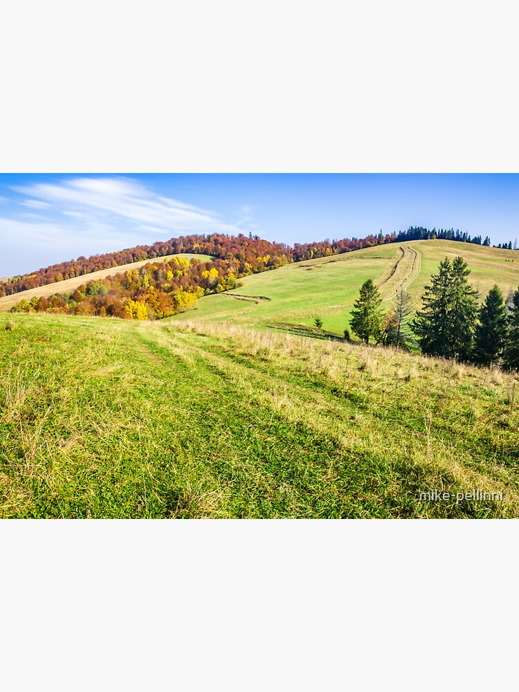 autumn forest in mountains by mike-pellinni