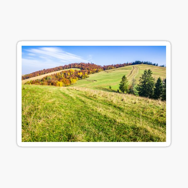 autumn forest in mountains Sticker