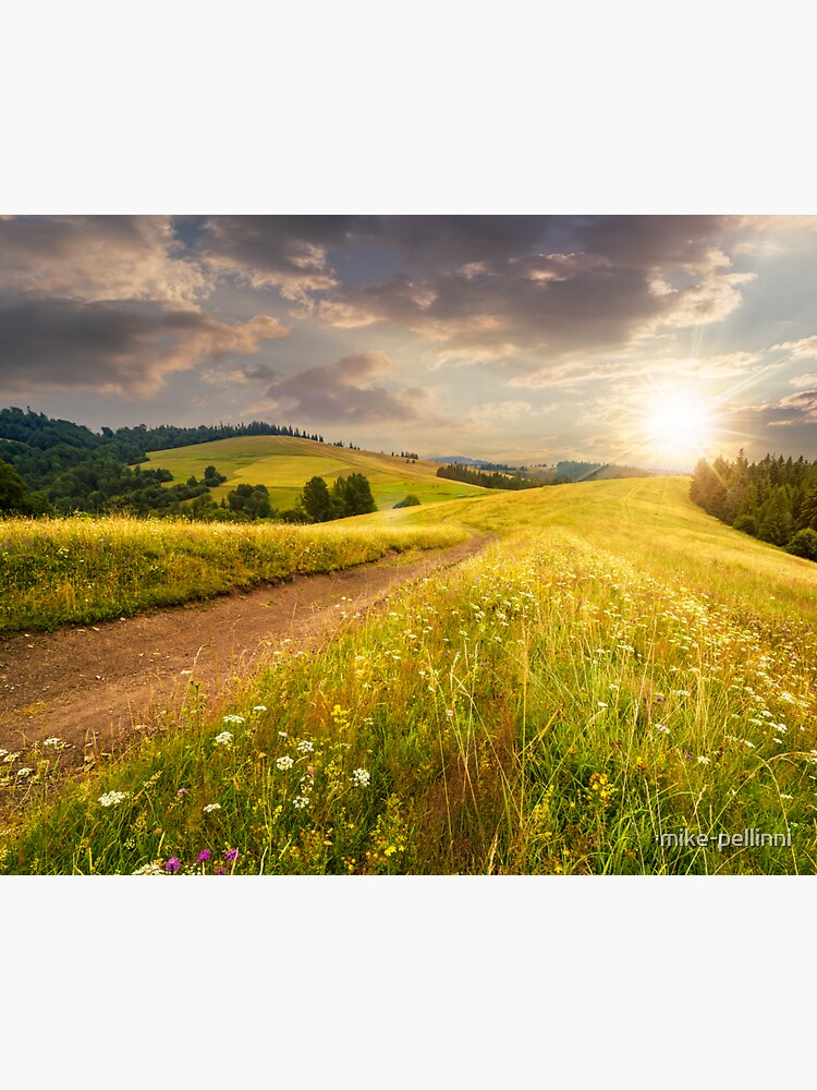road through the meadow on hillside at sunset by mike-pellinni