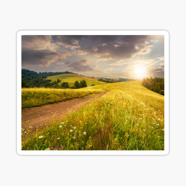 road through the meadow on hillside at sunset Sticker
