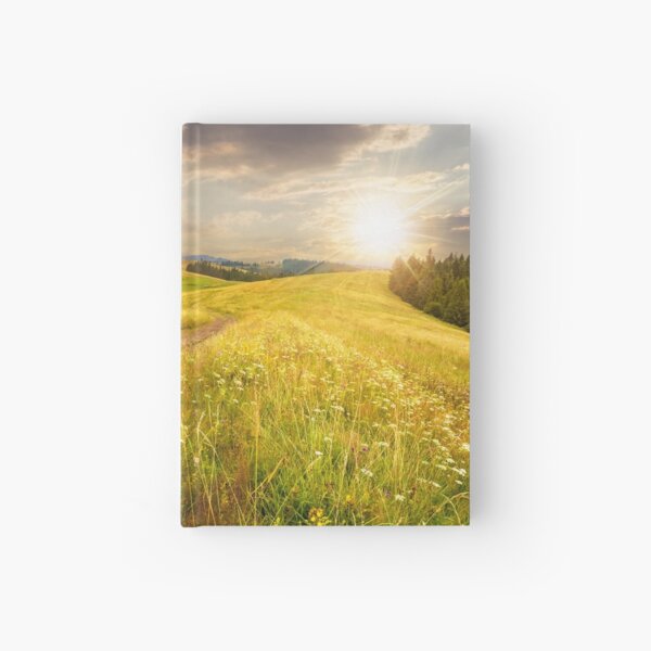 road through the meadow on hillside at sunset Hardcover Journal