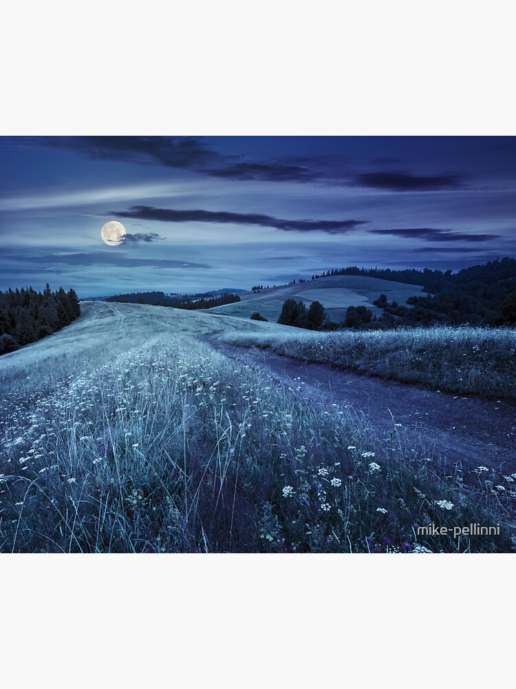 road through the meadow on hillside at night by mike-pellinni