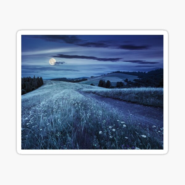 road through the meadow on hillside at night Sticker