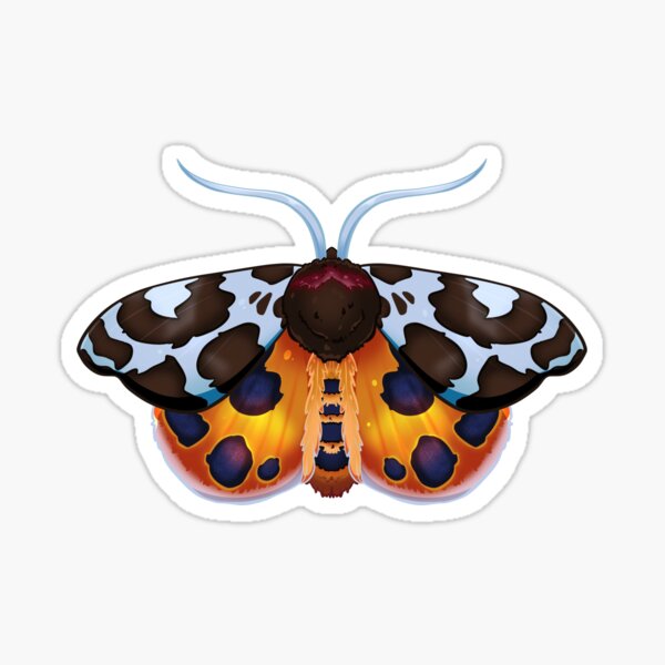 Garden Tiger Moth Sticker