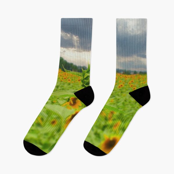 Item preview, Sunflowers designed and sold by Craig Kauzmann.
