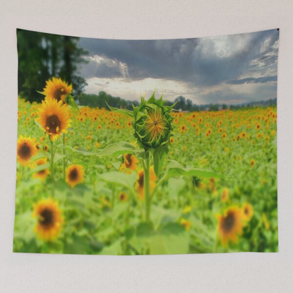 Item preview, Sunflowers designed and sold by Craig Kauzmann.
