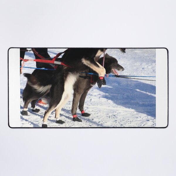 Item preview, Iditarod race dogs II designed and sold by zumi.