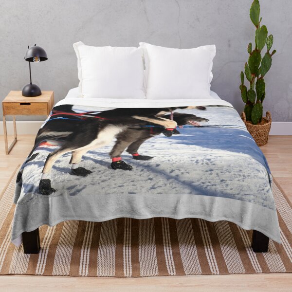 Item preview, Iditarod race dogs II designed and sold by zumi.