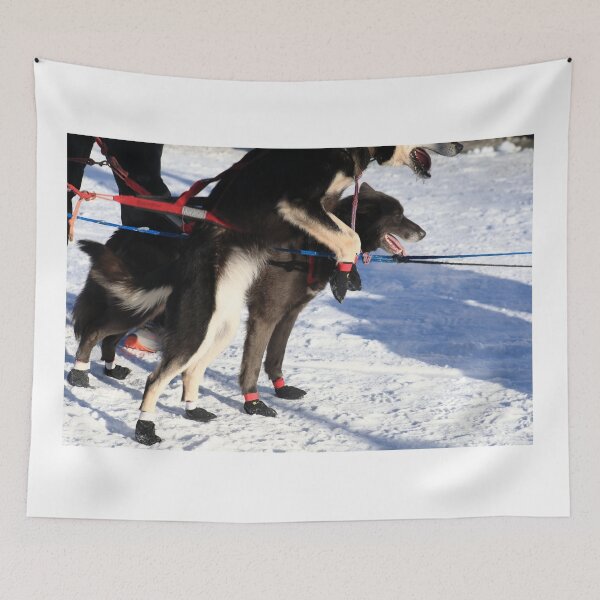 Item preview, Iditarod race dogs II designed and sold by zumi.