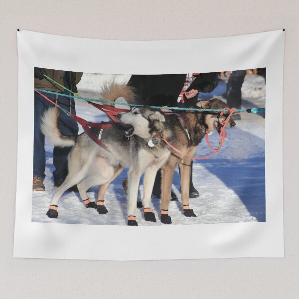 Item preview, Iditarod race dogs III designed and sold by zumi.