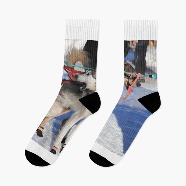 Item preview, Iditarod race dogs III designed and sold by zumi.