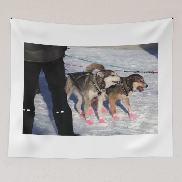 Item preview, Iditarod race dogs IV designed and sold by zumi.
