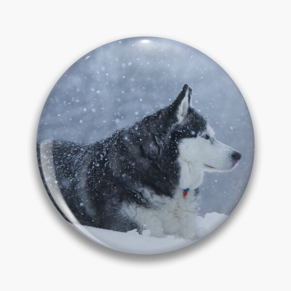Item preview, Blue Eye Husky in the Heavy Snow designed and sold by myhuskymax.