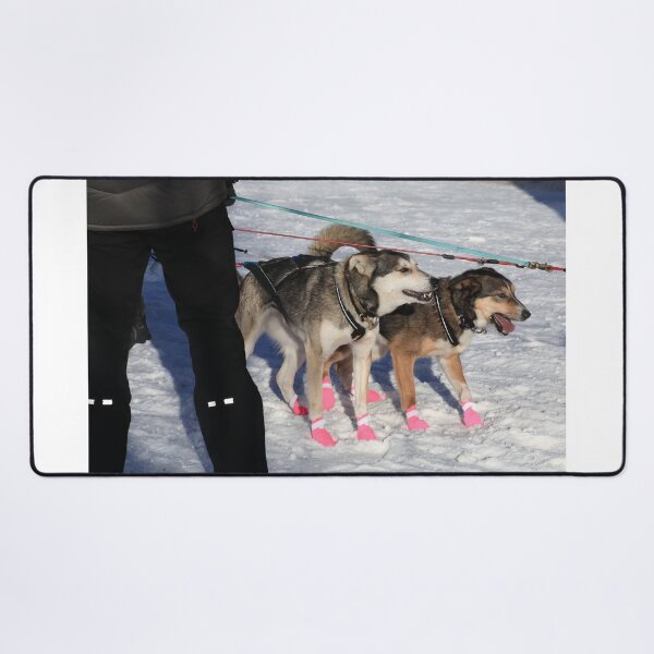 Item preview, Iditarod race dogs IV designed and sold by zumi.