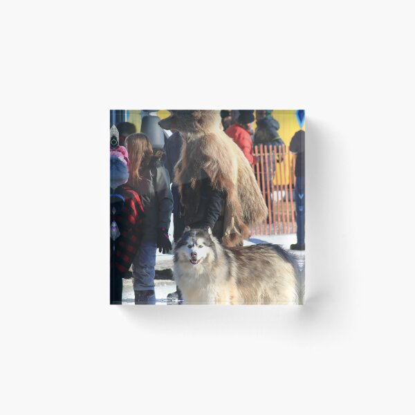Item preview, End of day 1 at Iditarod race  designed and sold by zumi.
