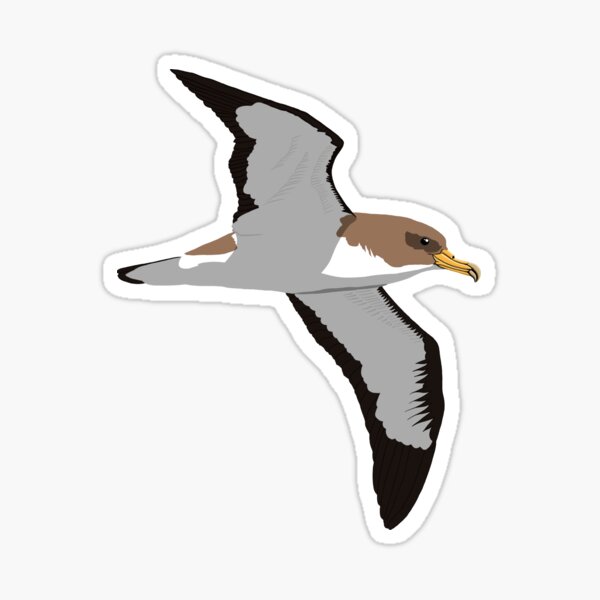 Item preview, Cory's Shearwater designed and sold by BennuBirdy.