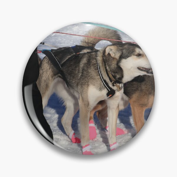 Item preview, Iditarod race dogs IV designed and sold by zumi.