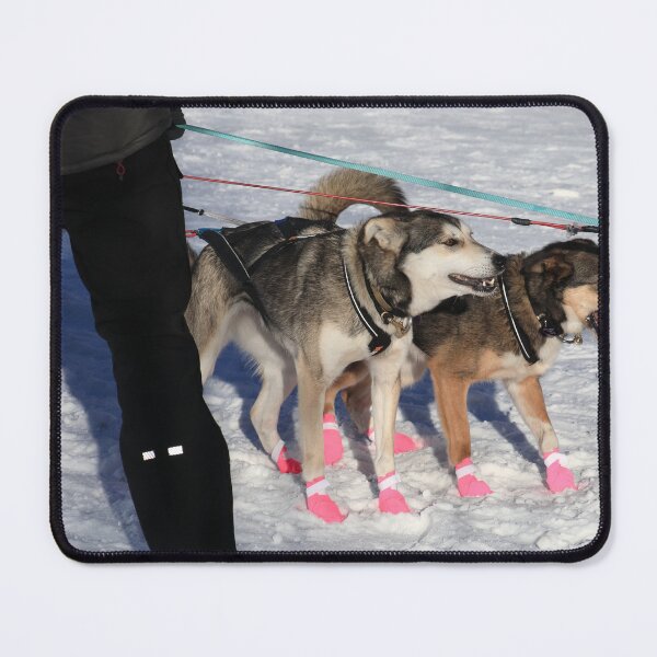 Item preview, Iditarod race dogs IV designed and sold by zumi.