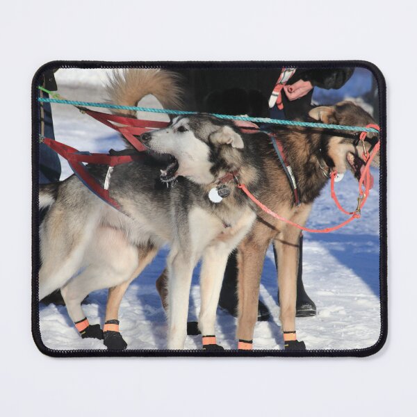 Item preview, Iditarod race dogs III designed and sold by zumi.