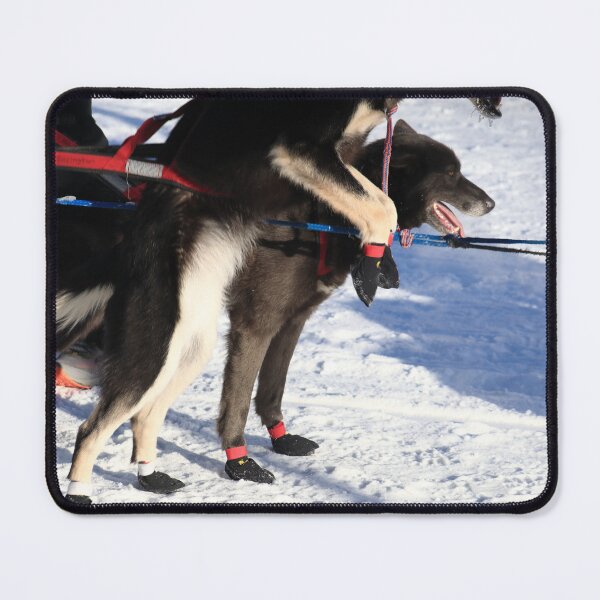 Item preview, Iditarod race dogs II designed and sold by zumi.