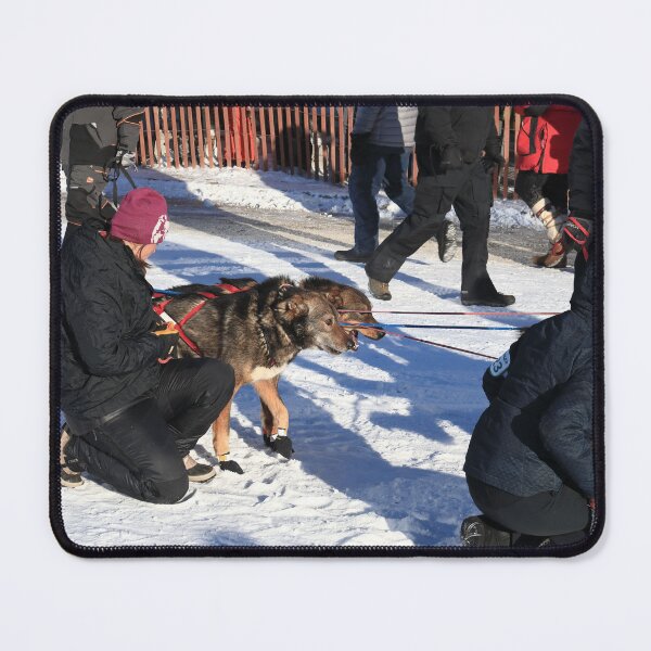 Item preview, Iditarod race dogs designed and sold by zumi.