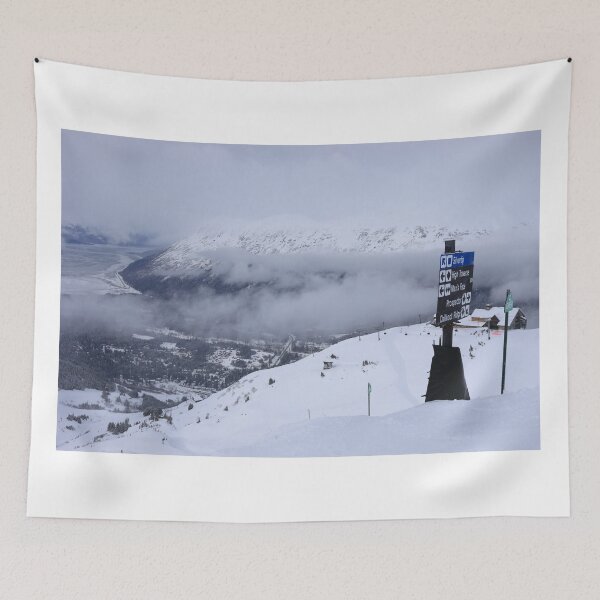 Item preview, Alyeska skiing designed and sold by zumi.