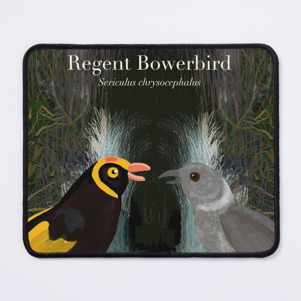 Item preview, Regent Bowerbirds (text) designed and sold by Donnahuntriss.
