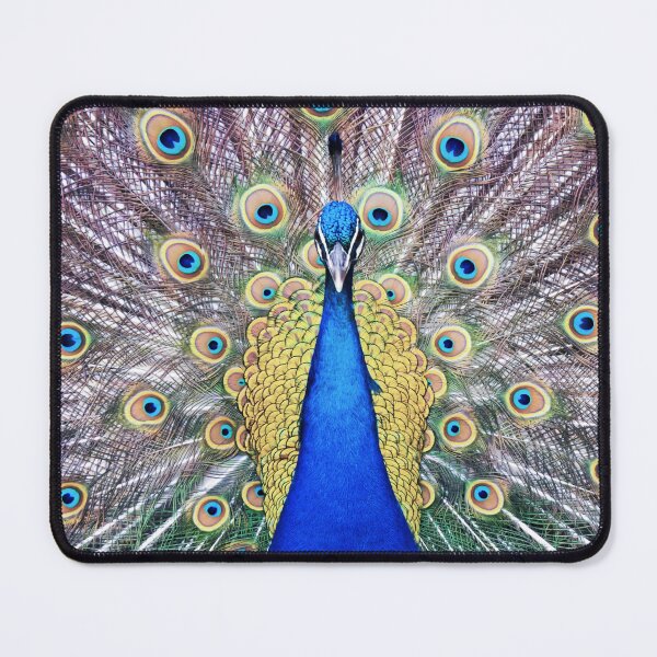 Item preview, ShOwOff designed and sold by SeeThinkCreate.