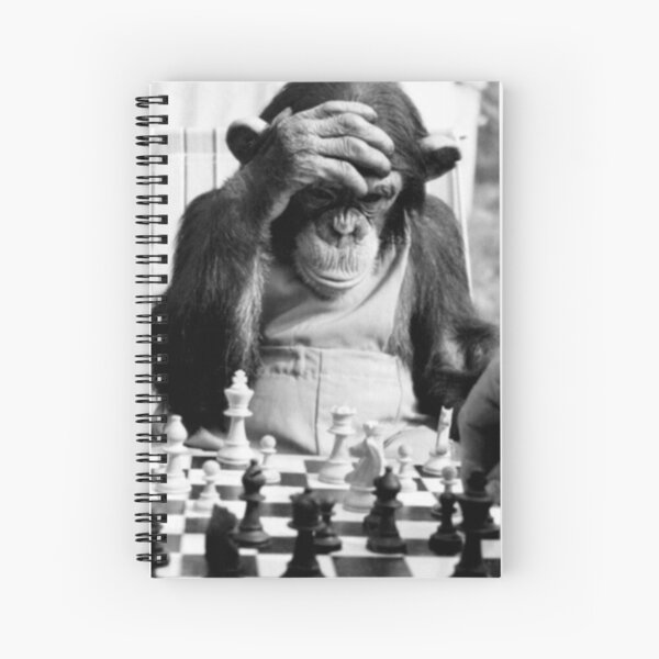 Funny Chess Monkey checkmate king chessboard 3d chess pawn room smart  monkey genius iq game night board game chimpanzees gorilla ape funny chimp   Art Board Print for Sale by weird83