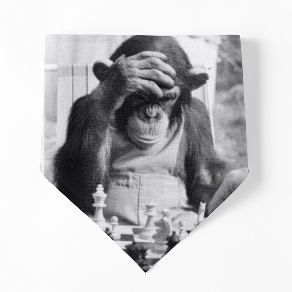 Funny Chess Monkey checkmate king chessboard 3d chess pawn room smart  monkey genius iq game night board game chimpanzees gorilla ape funny chimp   Art Board Print for Sale by weird83