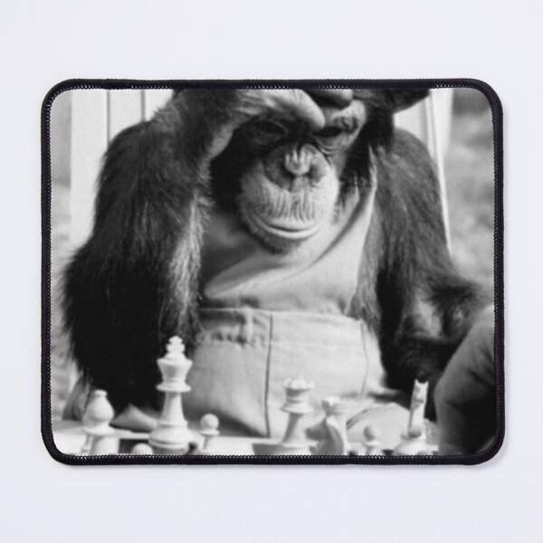 Funny Chess Monkey checkmate king chessboard 3d chess pawn room