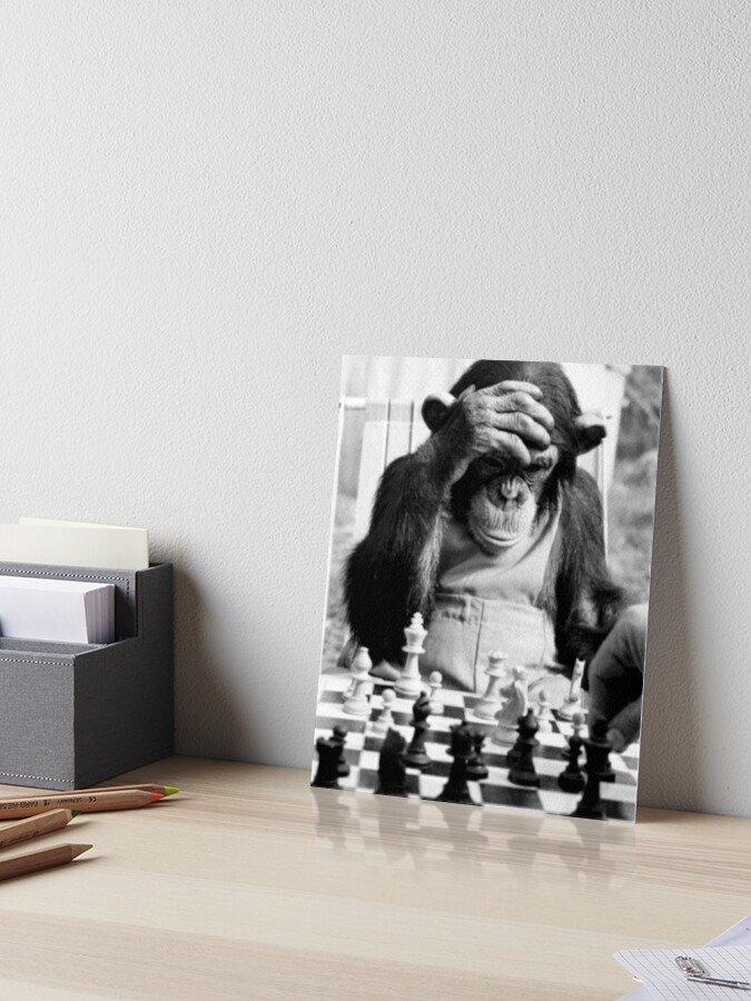 Funny Chess Monkey checkmate king chessboard 3d chess pawn room