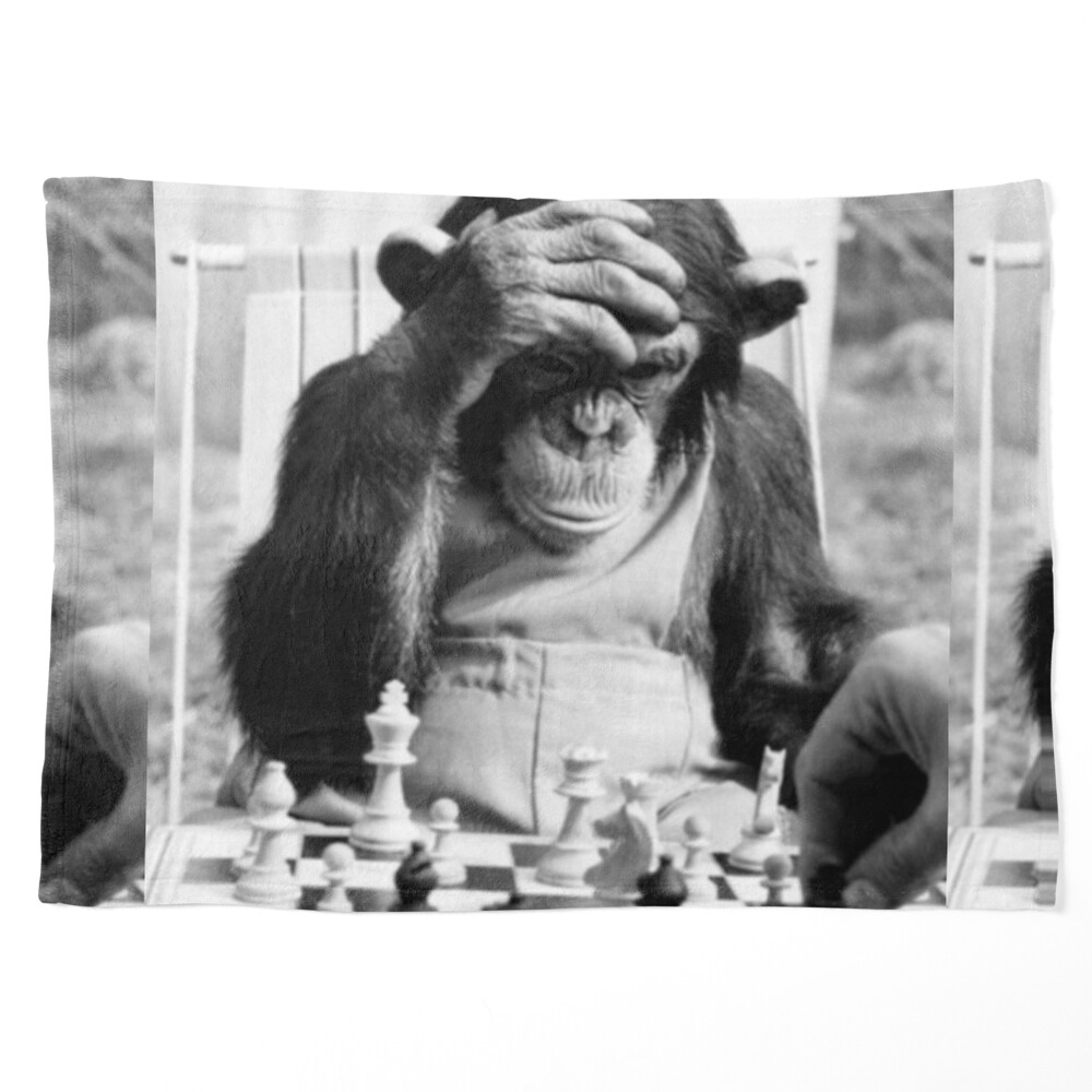 Funny Chess Monkey checkmate king chessboard 3d chess pawn room