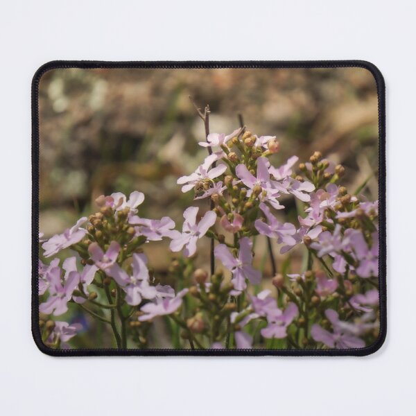 Item preview, Purple Wildflowers Australia Photo designed and sold by Chutneey.