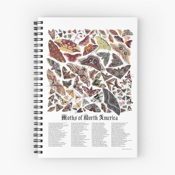Item preview, Moths of North America designed and sold by JadaFitch.