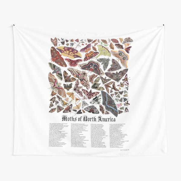 Item preview, Motten von Nordamerika designed and sold by JadaFitch.