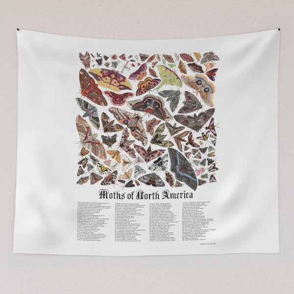 Item preview, Moths of North America designed and sold by JadaFitch.