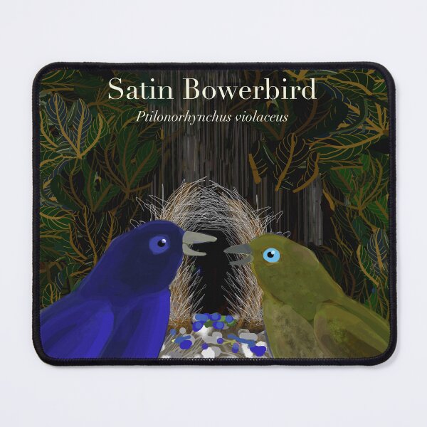 Item preview, Satin Bowerbirds (text) designed and sold by Donnahuntriss.