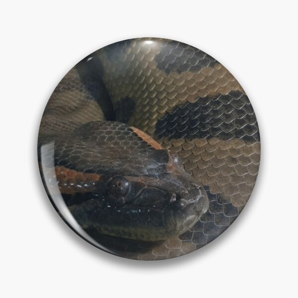 Item preview, Snake designed and sold by Councilrock.