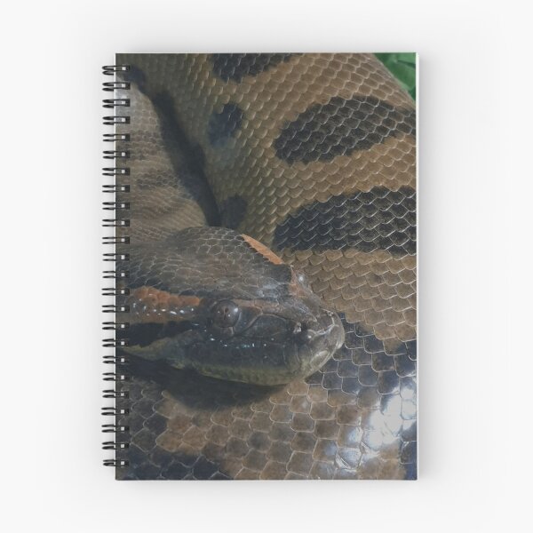 Item preview, Snake designed and sold by Councilrock.
