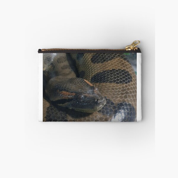 Item preview, Snake designed and sold by Councilrock.