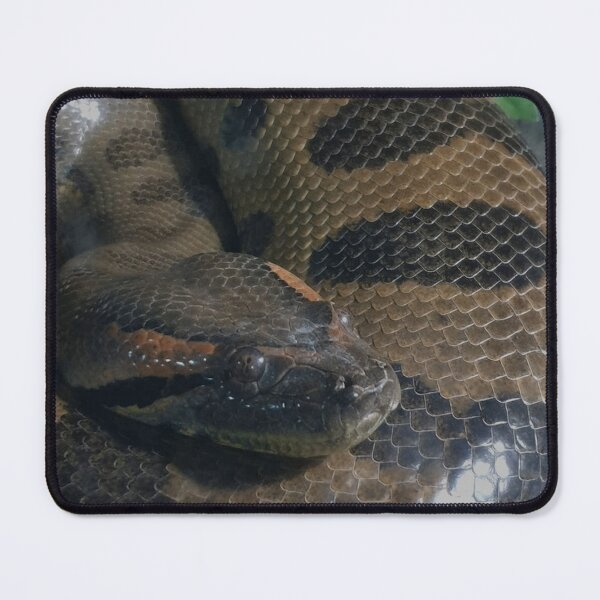 Item preview, Snake designed and sold by Councilrock.