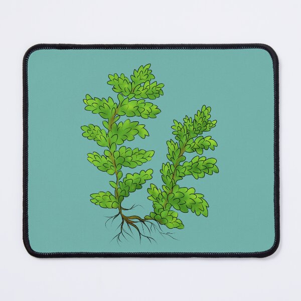Item preview, Azolla designed and sold by Sarah Y..